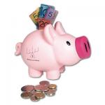Pink Piggy Bank, Novelty Deluxe