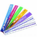 30cm Plastic Rulers , Novelty Deluxe